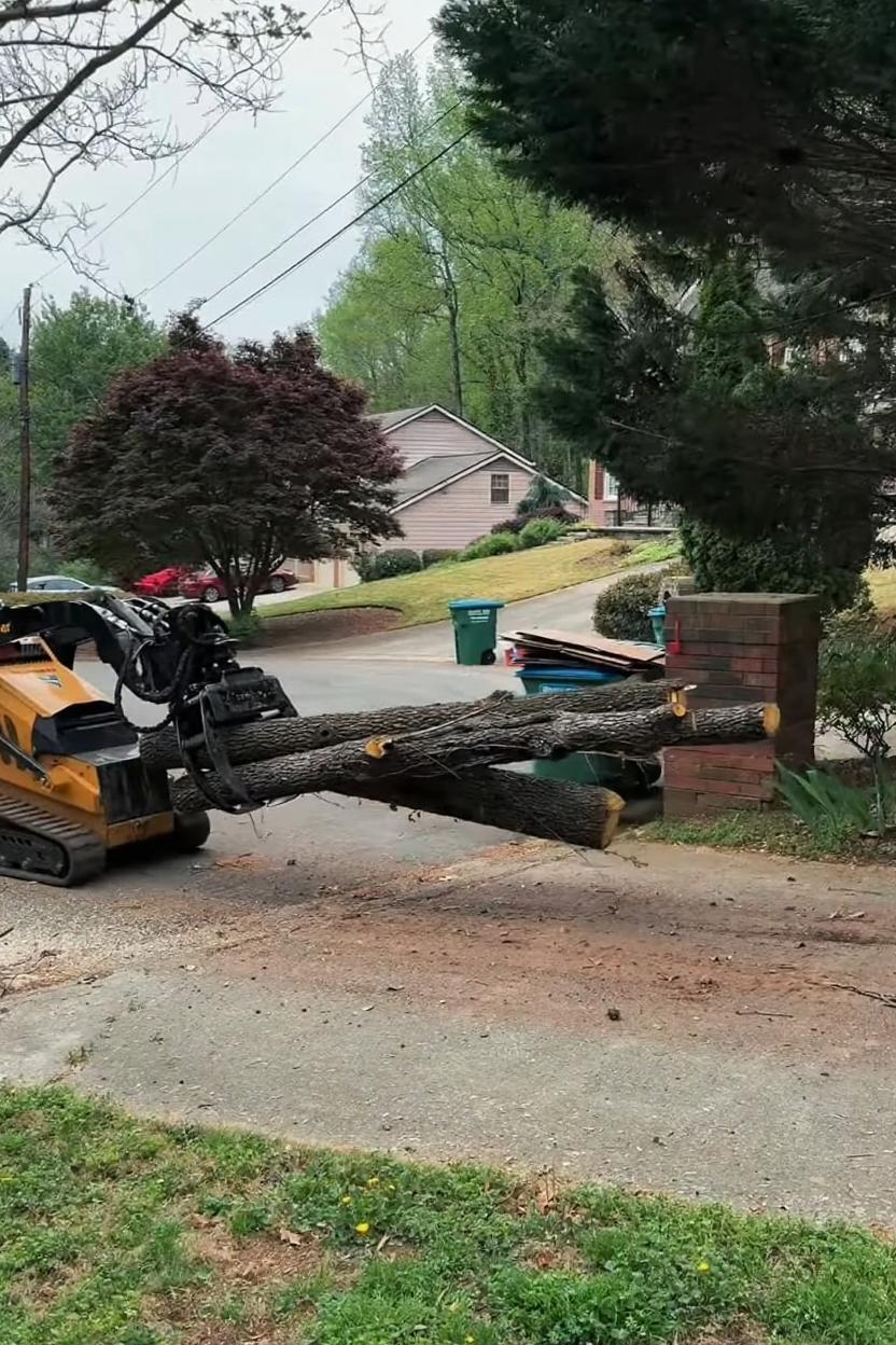 Professional tree service equipment used by Federal Way Tree Services Professional tree service equipment including crane and specialized trucks for safe tree removal
