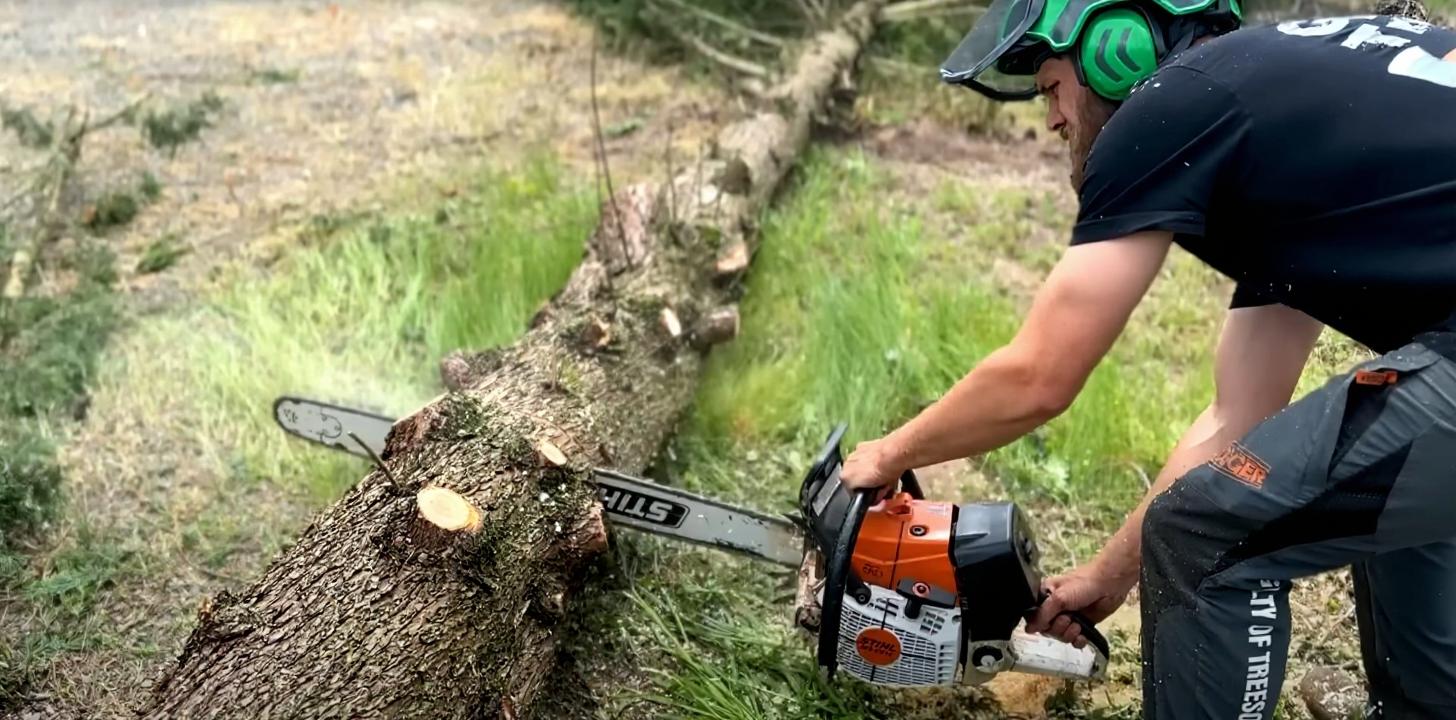 Expert tree trimming services by certified arborists in Federal Way Professional arborist using chainsaw for precise tree trimming and pruning work