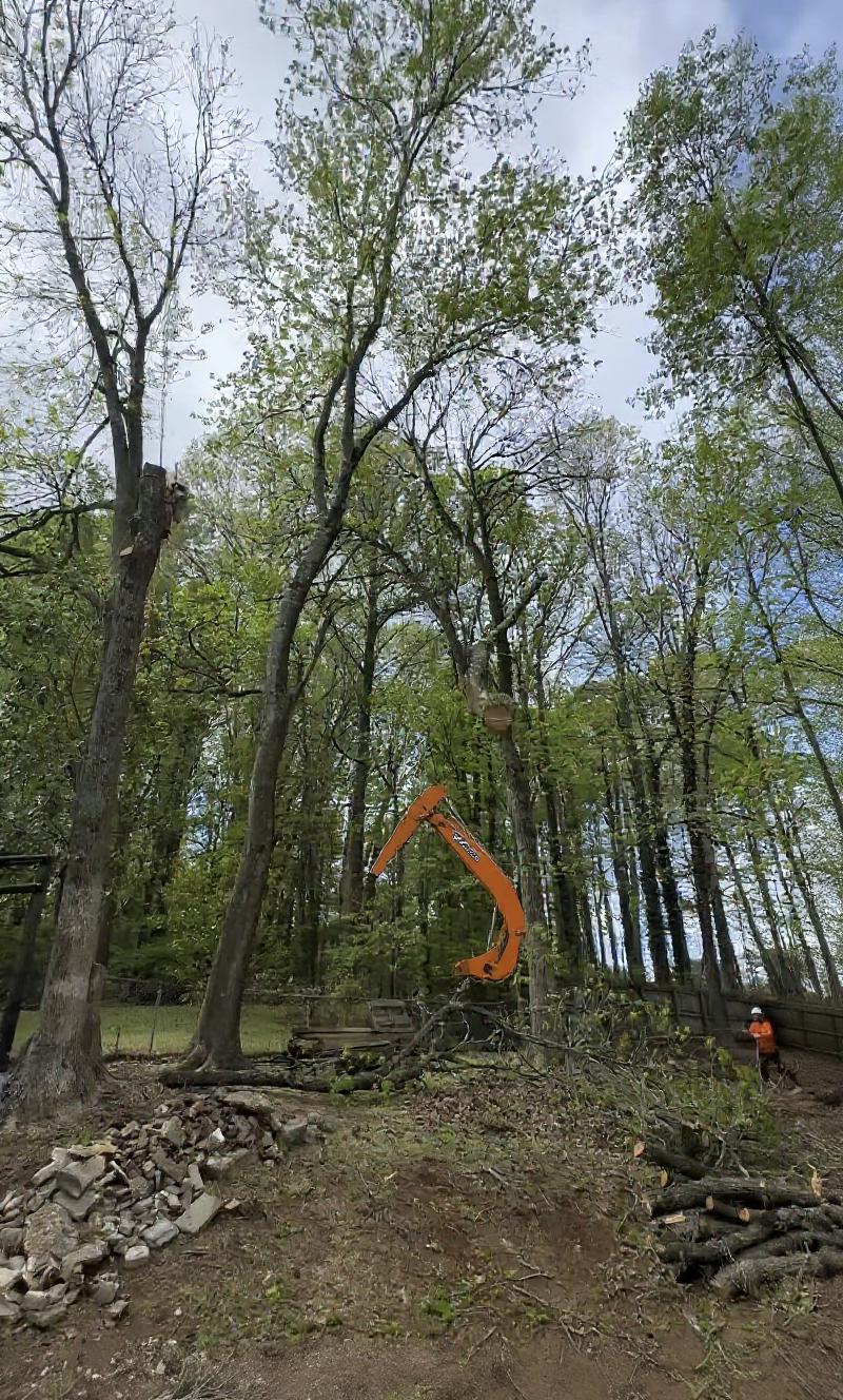 Expert tree removal services by Federal Way Tree Services Professional tree removal equipment and crew working on dangerous tree removal in Federal Way